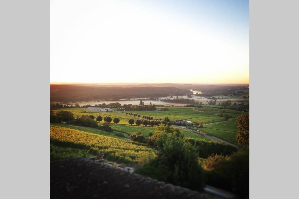 Апартаменты Vue Panoramique Sur Le Vignoble Сансер Экстерьер фото